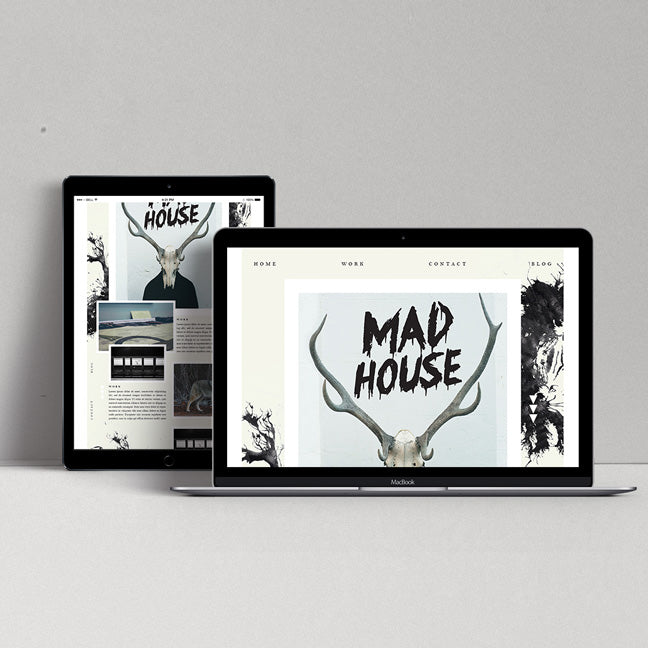 WEB DESIGN | THE MAD HOUSE